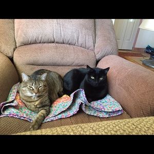 Meet your Posher, Diana