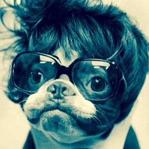 Meet your Posher, Holland