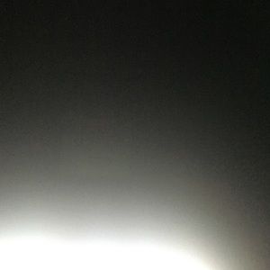 Meet your Posher, Maggie