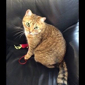 Meet your Posher, Mary