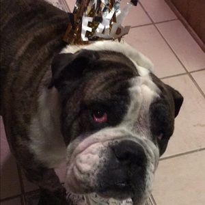 Meet your Posher, Hillary