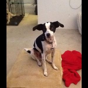 Meet your Posher, Deb