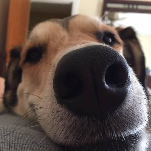 Meet your Posher, Heather - Picture 1 of 1