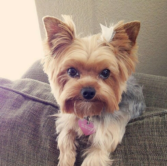 Meet your Posher, Nicole