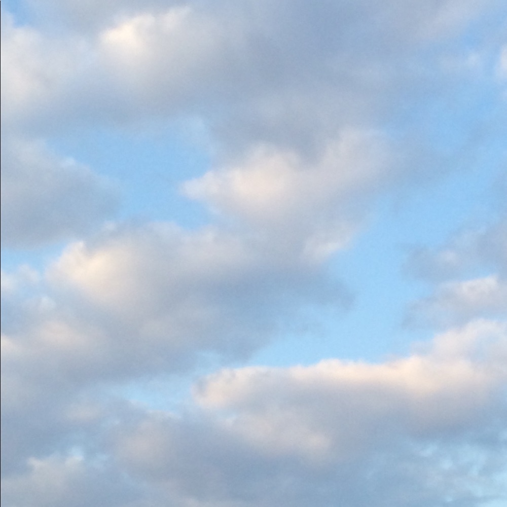 Meet your Posher, Ellen