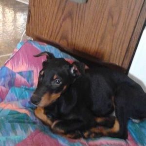 Meet your Posher, Mara