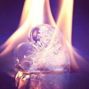 Meet your Posher, Lynette