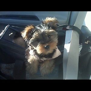 Meet your Posher, Leisha