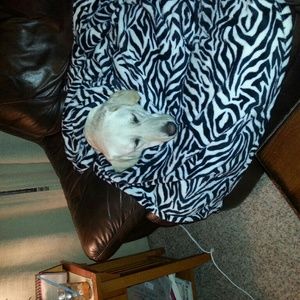 Meet your Posher, Danette