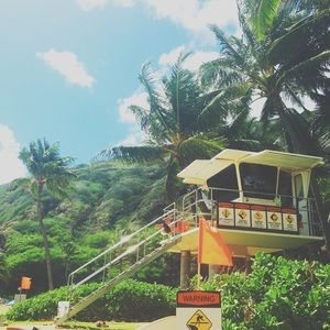 Meet your Posher, Lily