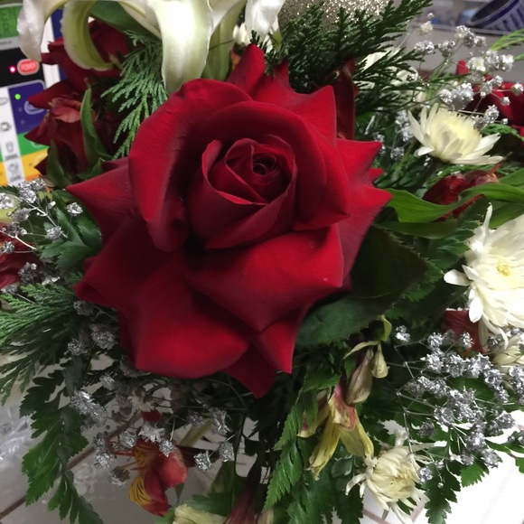 Meet your Posher, Jeannette - Picture 1 of 1