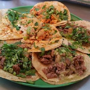 Meet your Posher, Eva