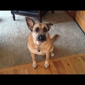 Meet your Posher, Renee