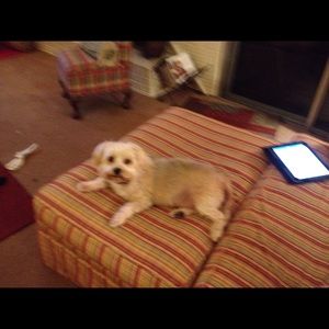 Meet your Posher, Dana