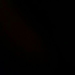 Meet your Posher, Penny