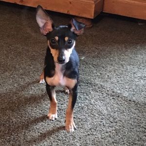 Meet your Posher, Jenna