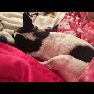 Meet your Posher, Beth