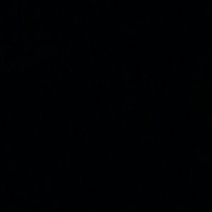 Meet your Posher, Briana