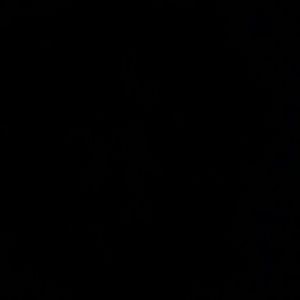 Meet your Posher, Mackenzie