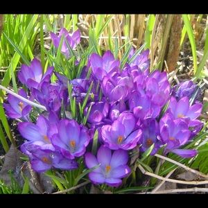 Meet your Posher, Jan