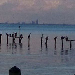 Meet your Posher, Erika