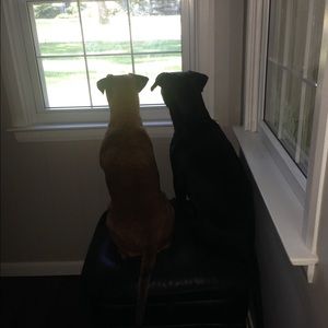 Meet your Posher, Kate