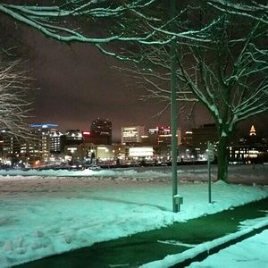 Meet your Posher, Mona