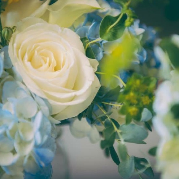 Meet your Posher, B! - Picture 1 of 1