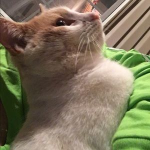 Meet your Posher, Tisha