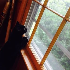 Meet your Posher, Dee