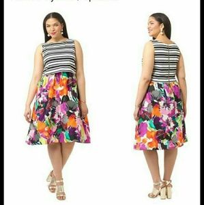 22W Taylor dress