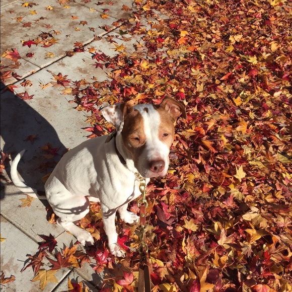 Meet your Posher, Laurin - Picture 1 of 1