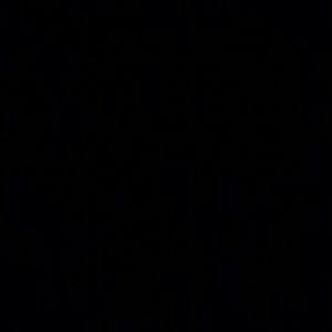 Meet your Posher, Ebony