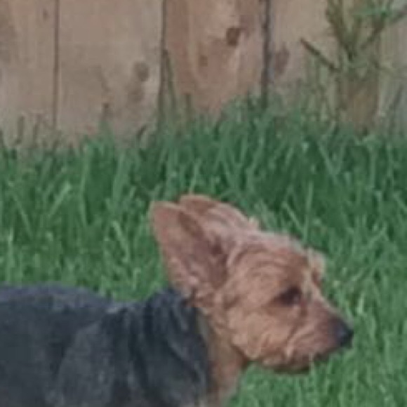 Meet your Posher, Rica - Picture 1 of 1