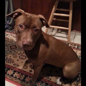 Meet your Posher, Melissa