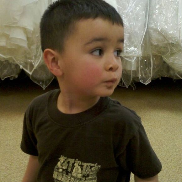 Meet your Posher, Merlin