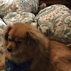 Meet your Posher, Blanca