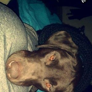 Meet your Posher, Marijo