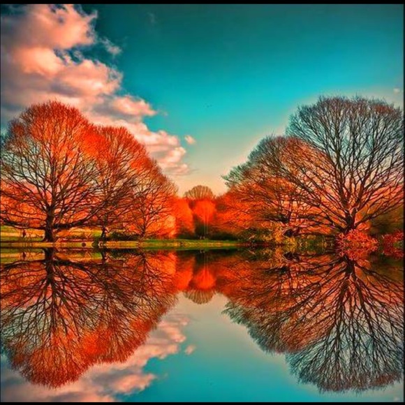 Meet your Posher, Alex - Picture 1 of 1