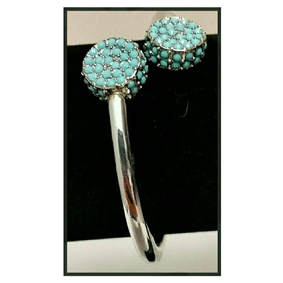 Carol Dauplaise Jewelry - NWT......Bracelet and Earings