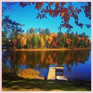 Meet your Posher, Suzanne