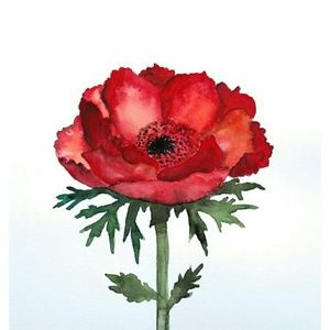 Meet your Posher, Tyra