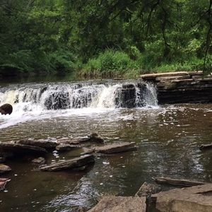 Meet your Posher, Nikki