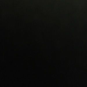 Meet your Posher, Lily