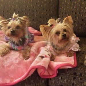 Meet your Posher, Hannah