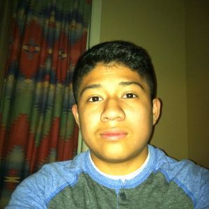 Meet your Posher, Hector