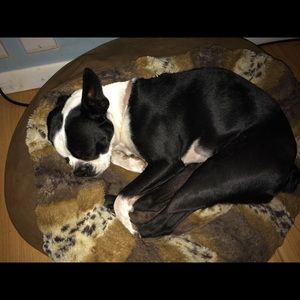 Meet your Posher, Heather