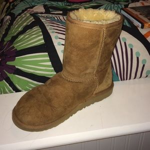 Short Chestnut Uggs
