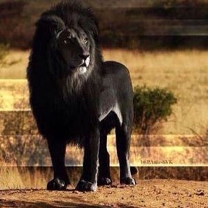 Meet your Posher, Mariah