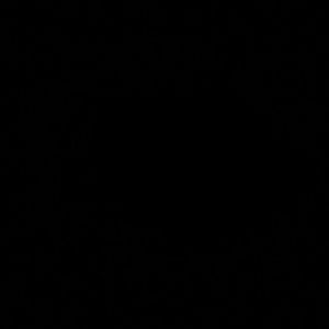 Meet your Posher, Nikoya